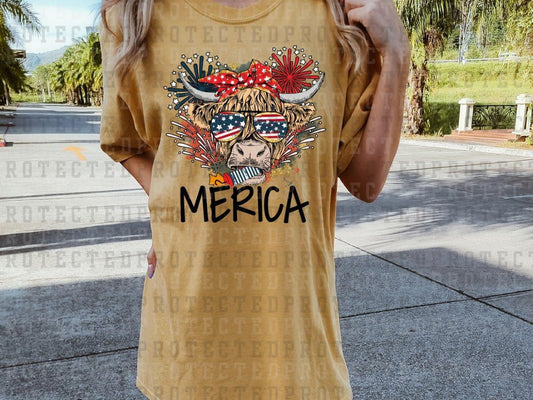 MERICA HIGHLAND COW - DTF TRANSFERS