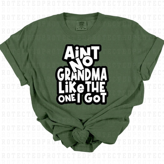 NO GRANDMA LIKE THE ONE I GOT - DTF TRANSFER