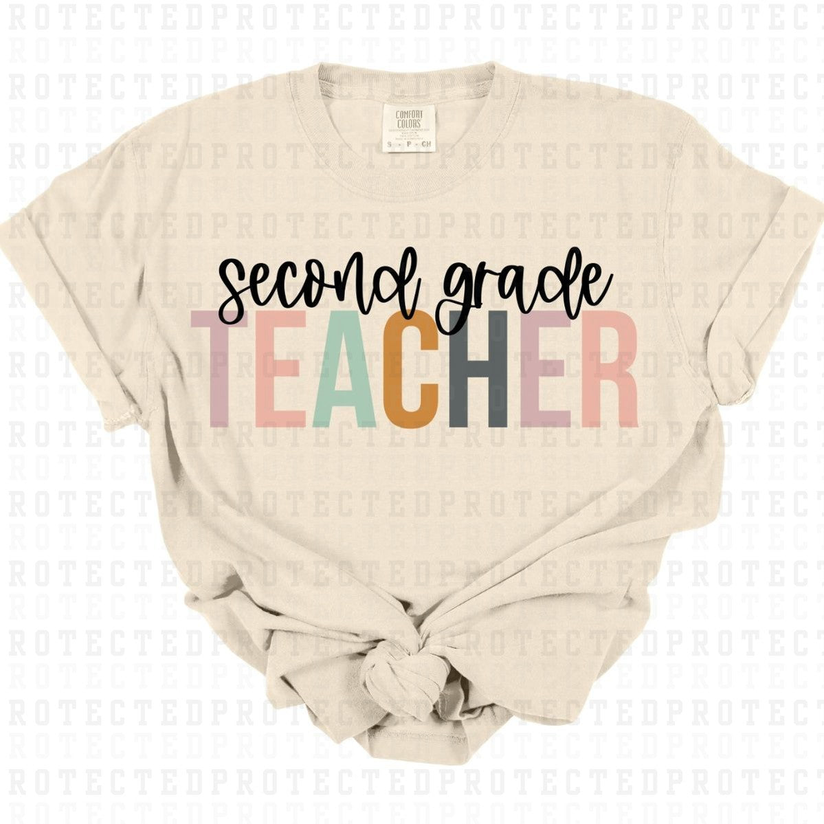 SECOND GRADE TEACHER - DTF TRANSFER