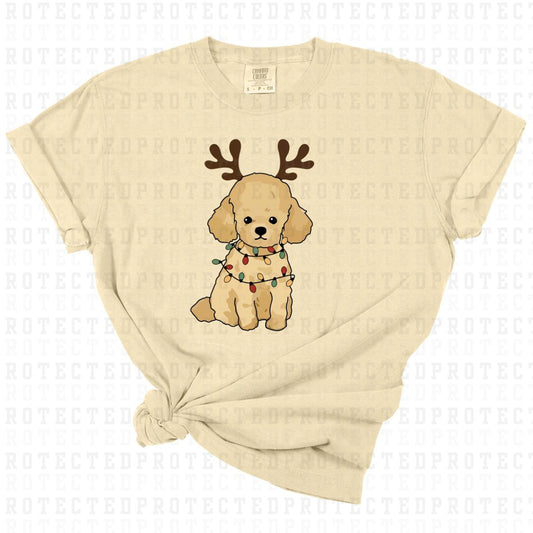 REINDEER POODLE - DTF TRANSFER