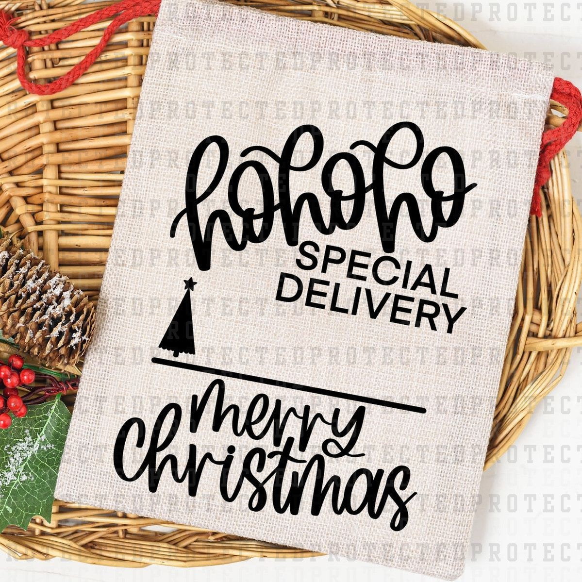 HO HO HO SPECIAL DELIVERY *SINGLE COLOR* - DTF TRANSFER