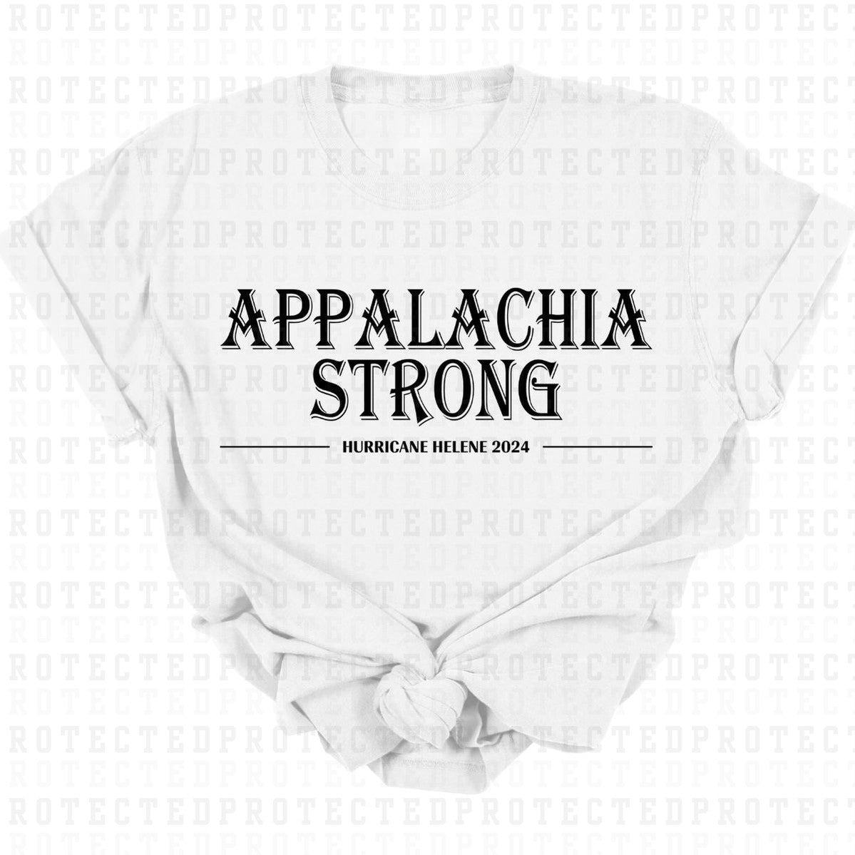 APPALACHIA STRONG HURRICANE HELENE 2024 *SINGLE COLOR* - DTF TRANSFER