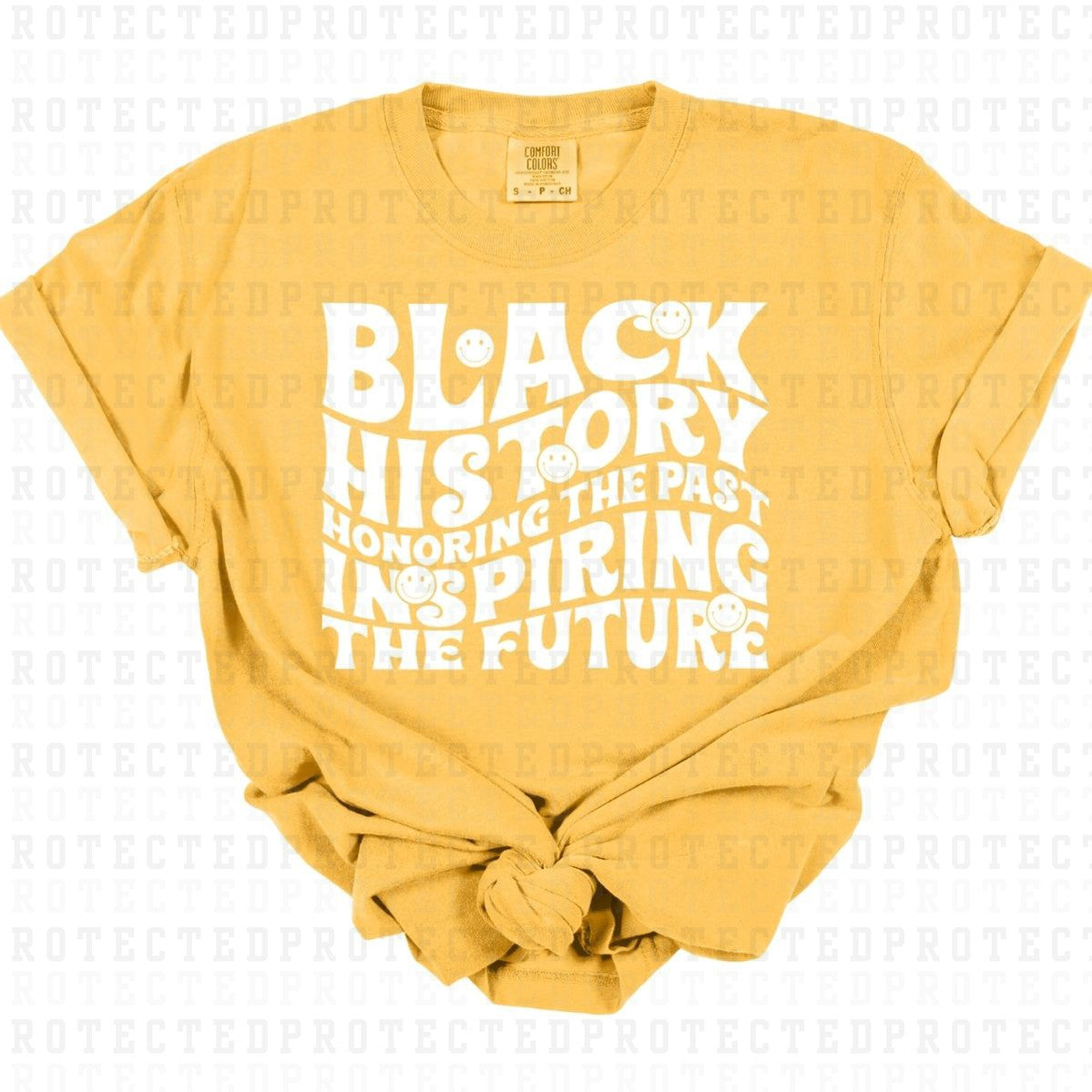 BLACK HISTORY *SINGLE COLOR* - DTF TRANSFER