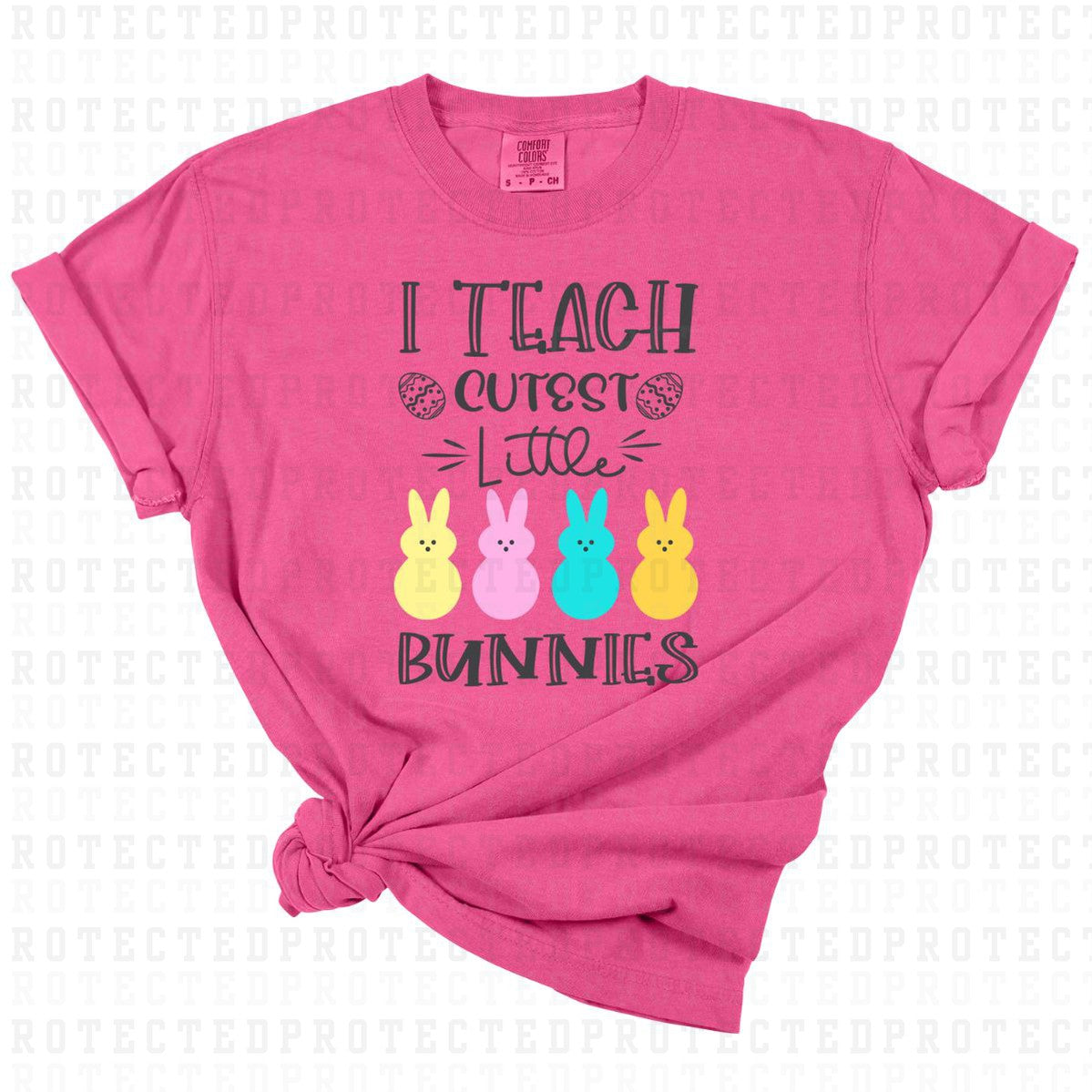 I TEACH THE CUTEST LITTLE BUNNIES - DTF TRANSFER