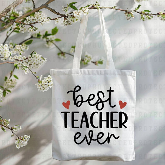 BEST TEACHER EVER - DTF TRANSFER