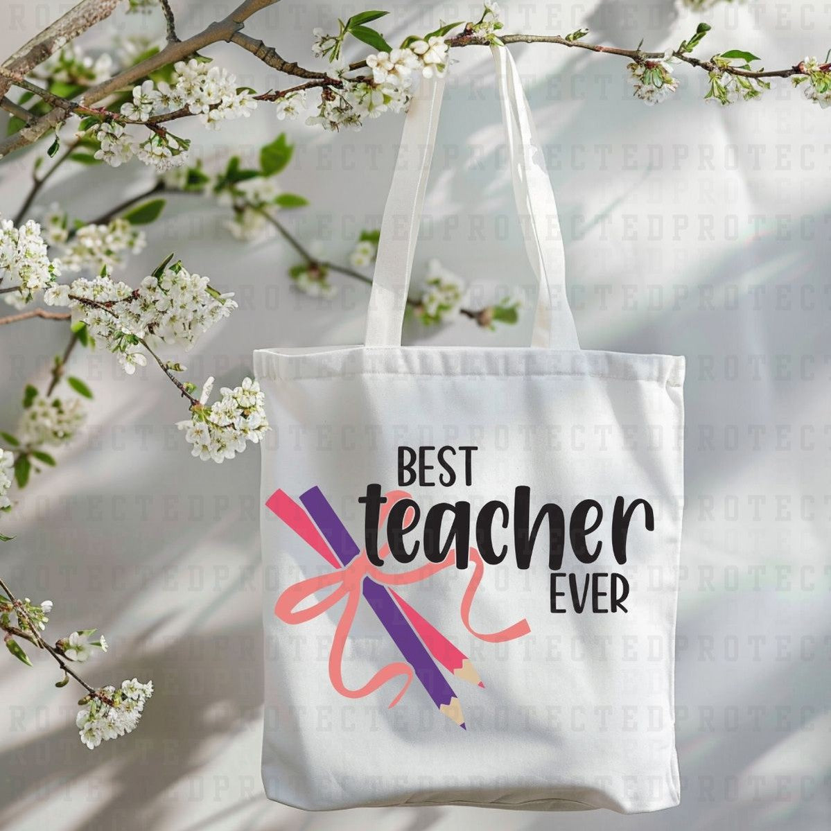 BEST TEACHER EVER - DTF TRANSFER