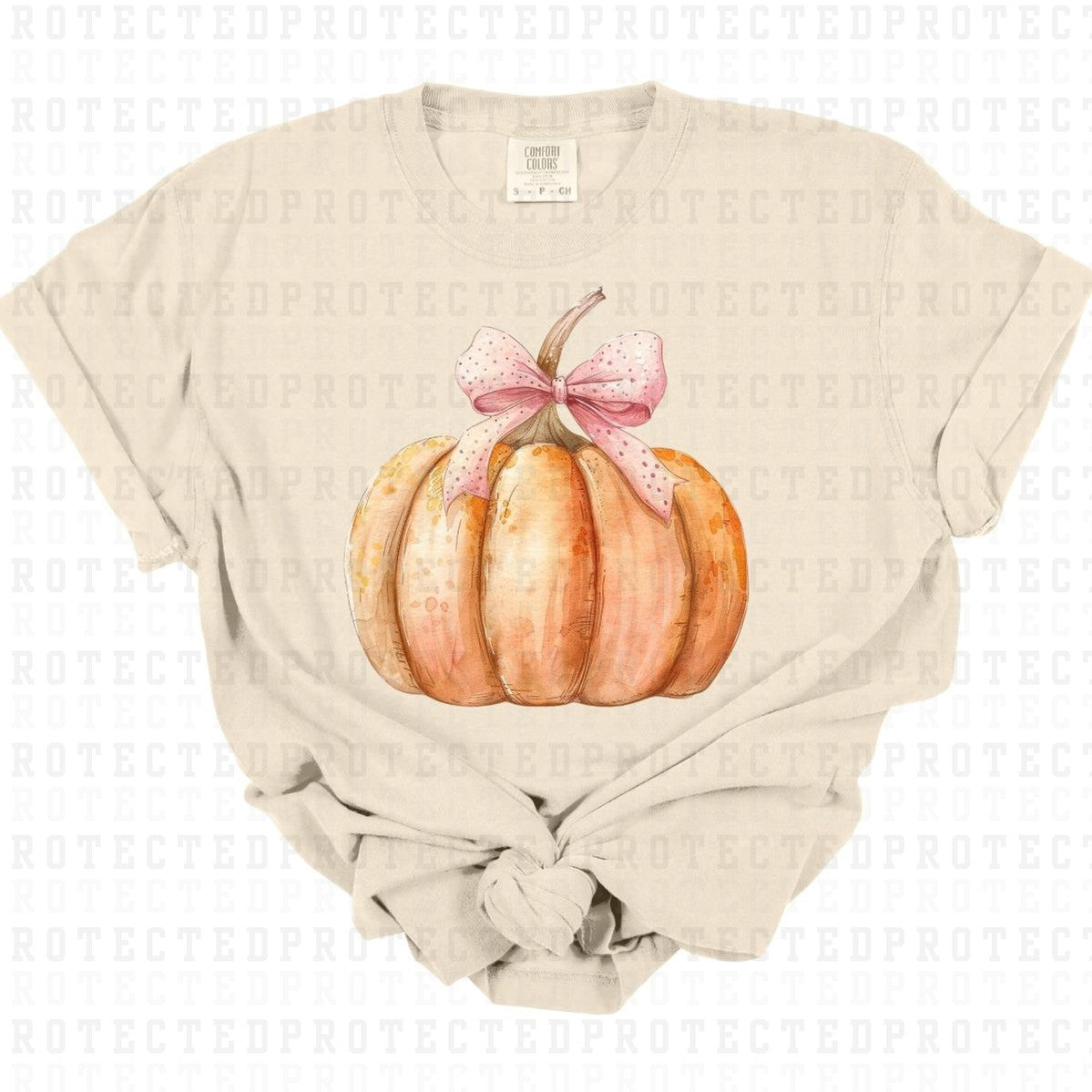 COQUETTE FALL PUMPKIN - DTF TRANSFER