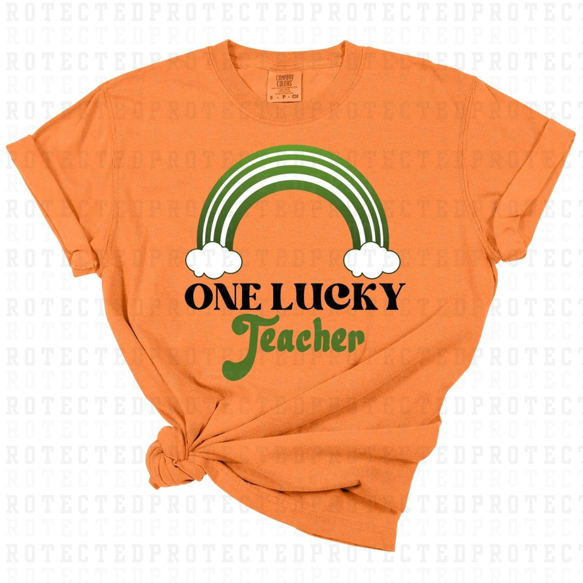 ONE LUCKY TEACHER - DTF TRANSFER