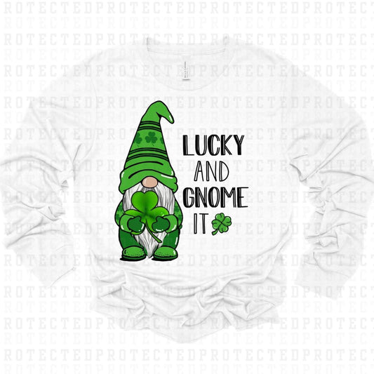 LUCKY AND I GNOME IT - DTF TRANSFER