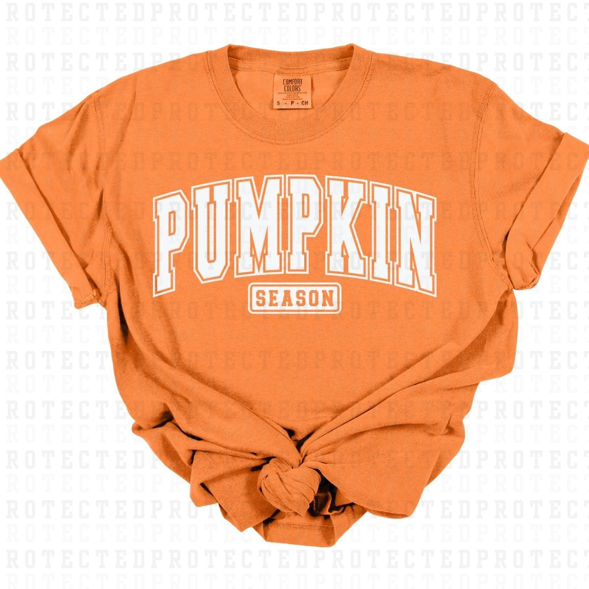 PUMPKIN SEASON *SINGLE COLOR* - DTF TRANSFER