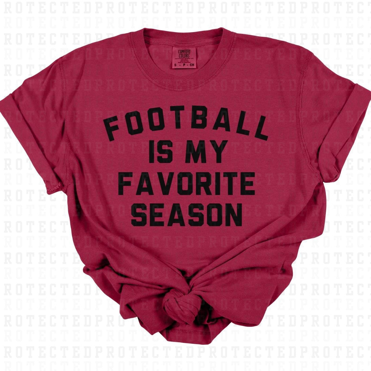 FOOTBALL IS MY FAVORITE SEASON *SINGLE COLOR* - DTF TRANSFER