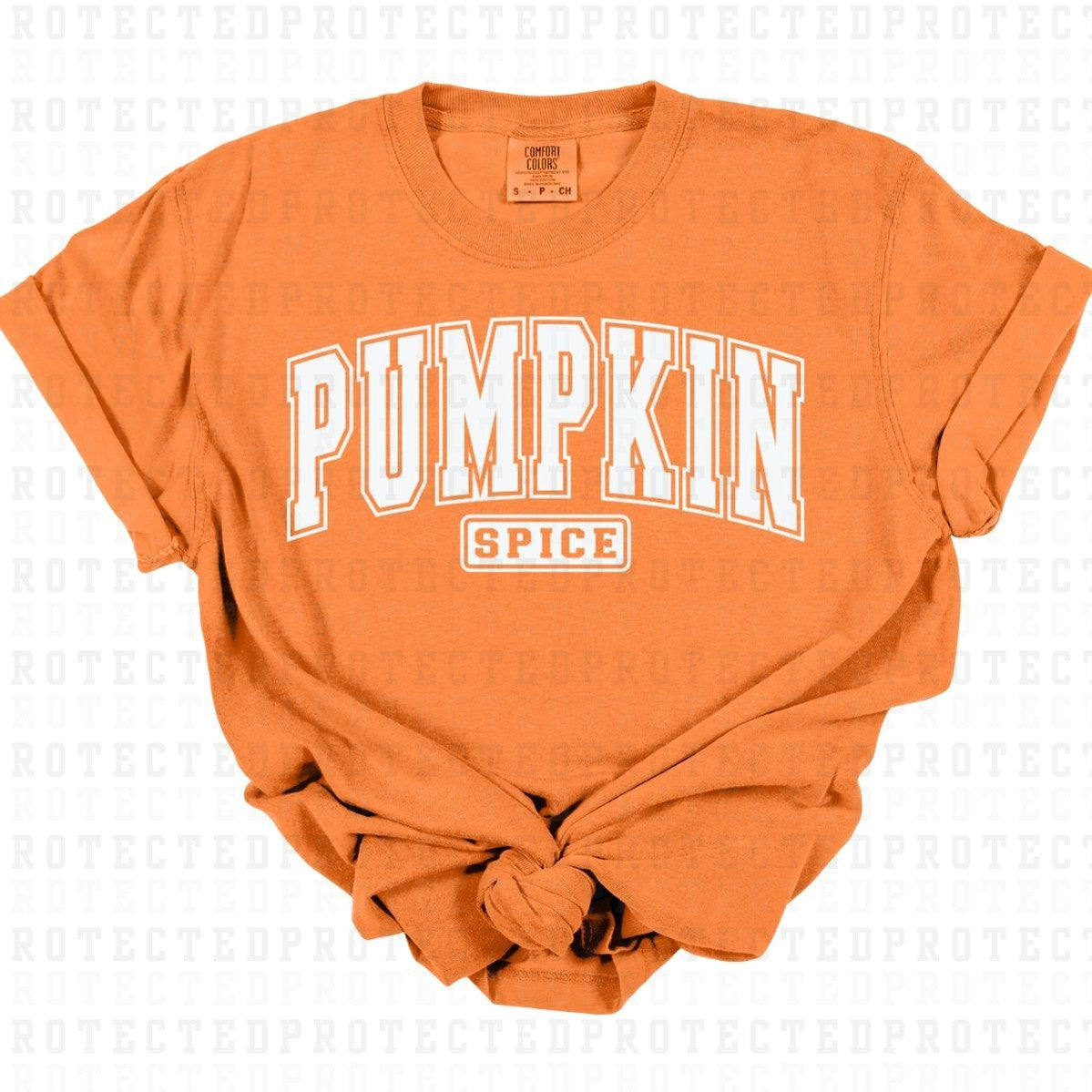 PUMPKIN SPICE *SINGLE COLOR* - DTF TRANSFER