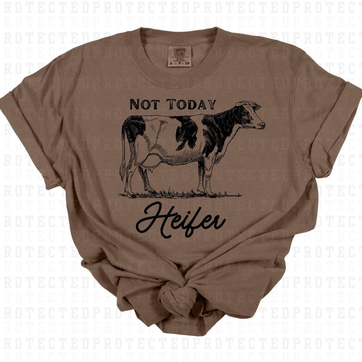 NOT TODAY HEIFER *SINGLE COLOR* - DTF TRANSFER