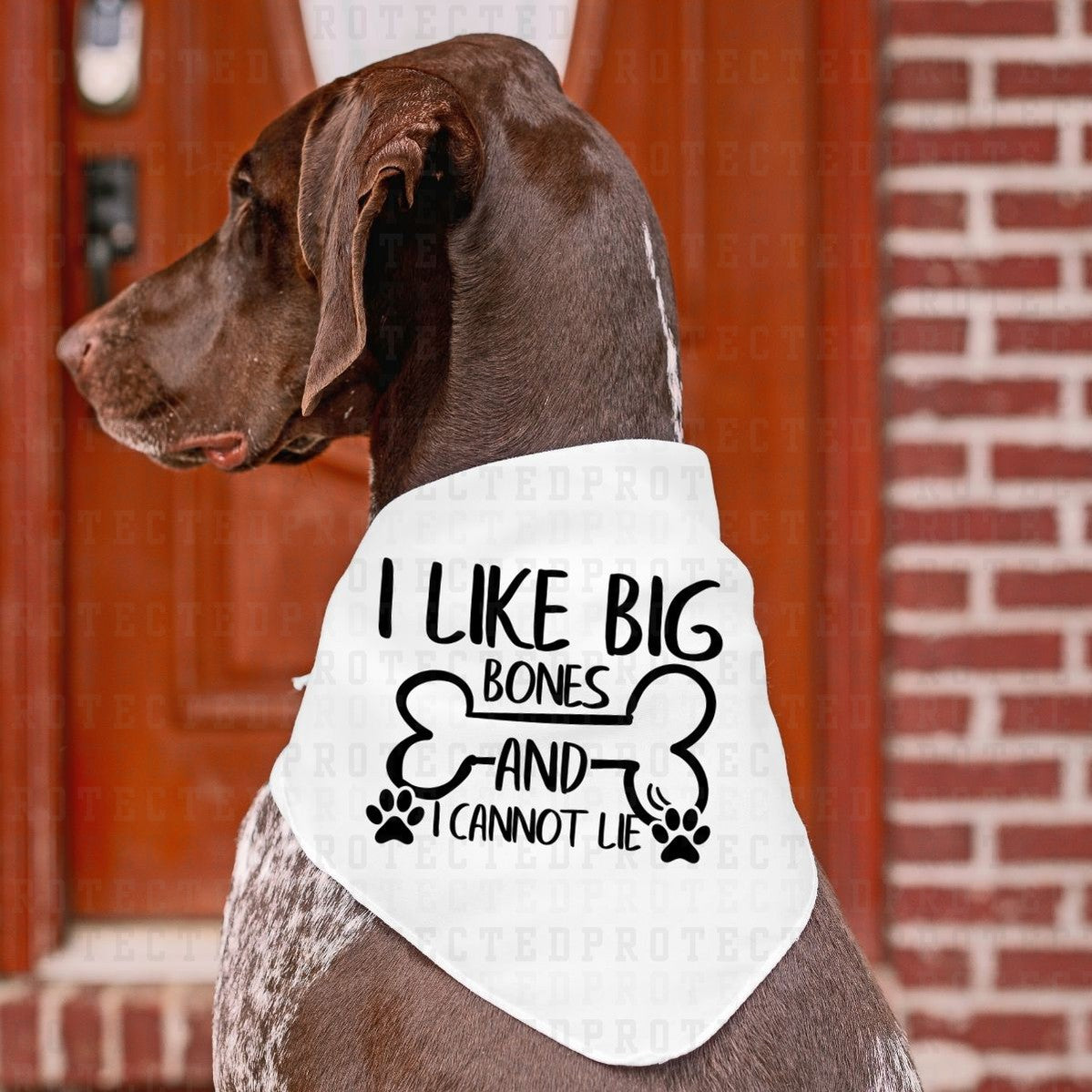 I LIKE BIG BONES *SINGLE COLOR* - DTF TRANSFER