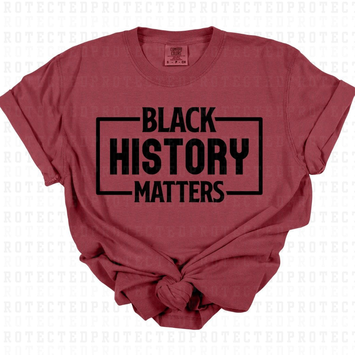 BLACK HISTORY MATTERS *SINGLE COLOR* - DTF TRANSFER