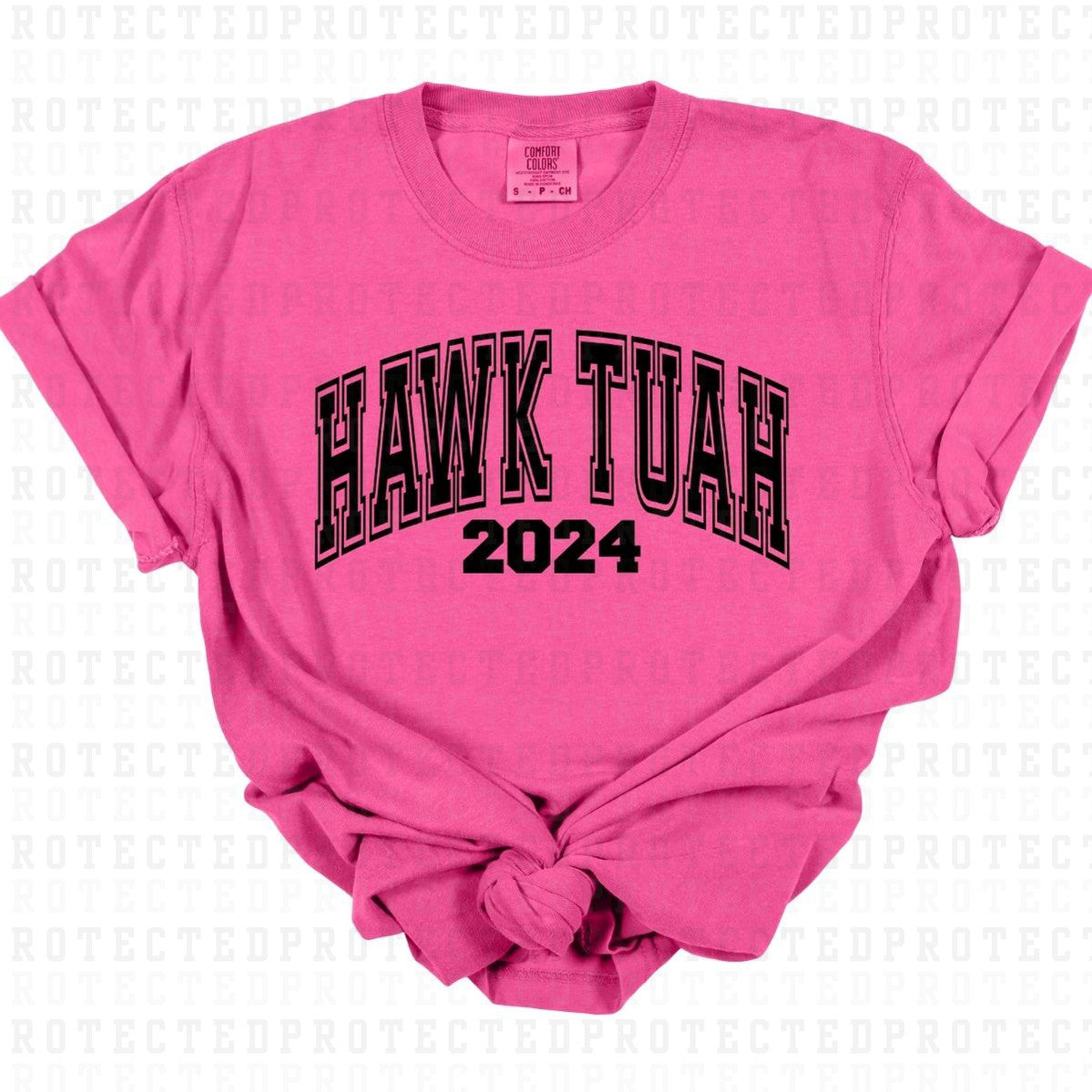 HAWK TUAH 2024 *SINGLE COLOR* - DTF TRANSFER