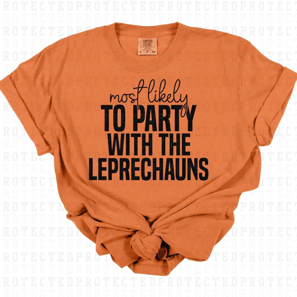 PARTY WITH THE LEPRECHAUNS *SINGLE COLOR* - DTF TRANSFER