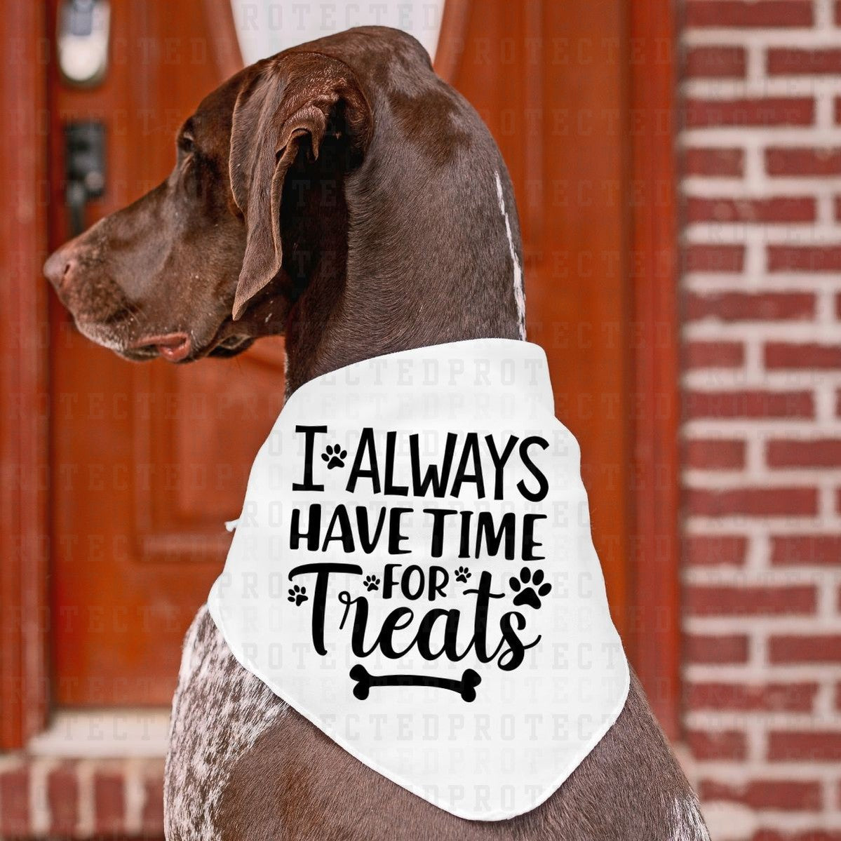 I ALWAYS HAVE TIME FOR TREATS *SINGLE COLOR* - DTF TRANSFER