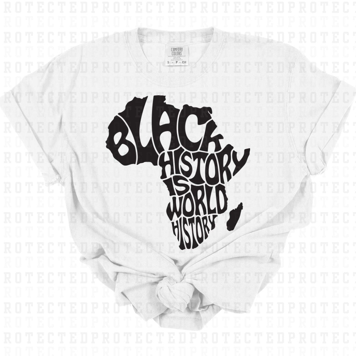 BLACK HISTORY IS WORLD HISTORY *SINGLE COLOR* - DTF TRANSFER