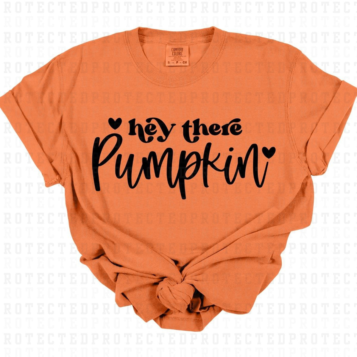 HEY THERE PUMPKIN *SINGLE COLOR* - DTF TRANSFER