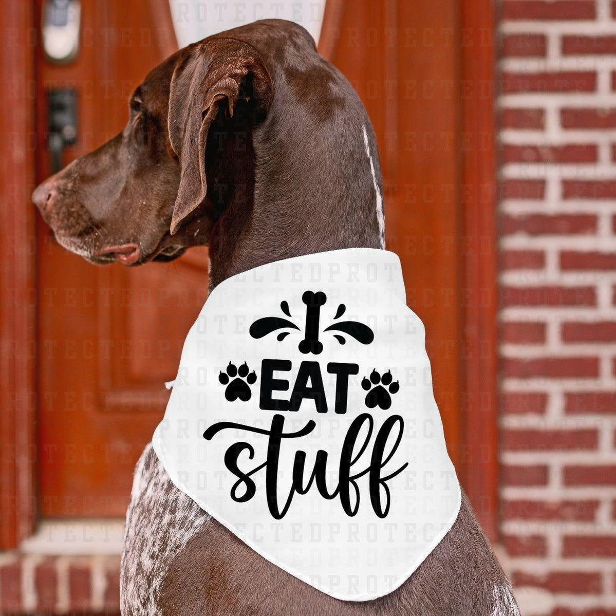 I EAT STUFF *SINGLE COLOR* - DTF TRANSFER