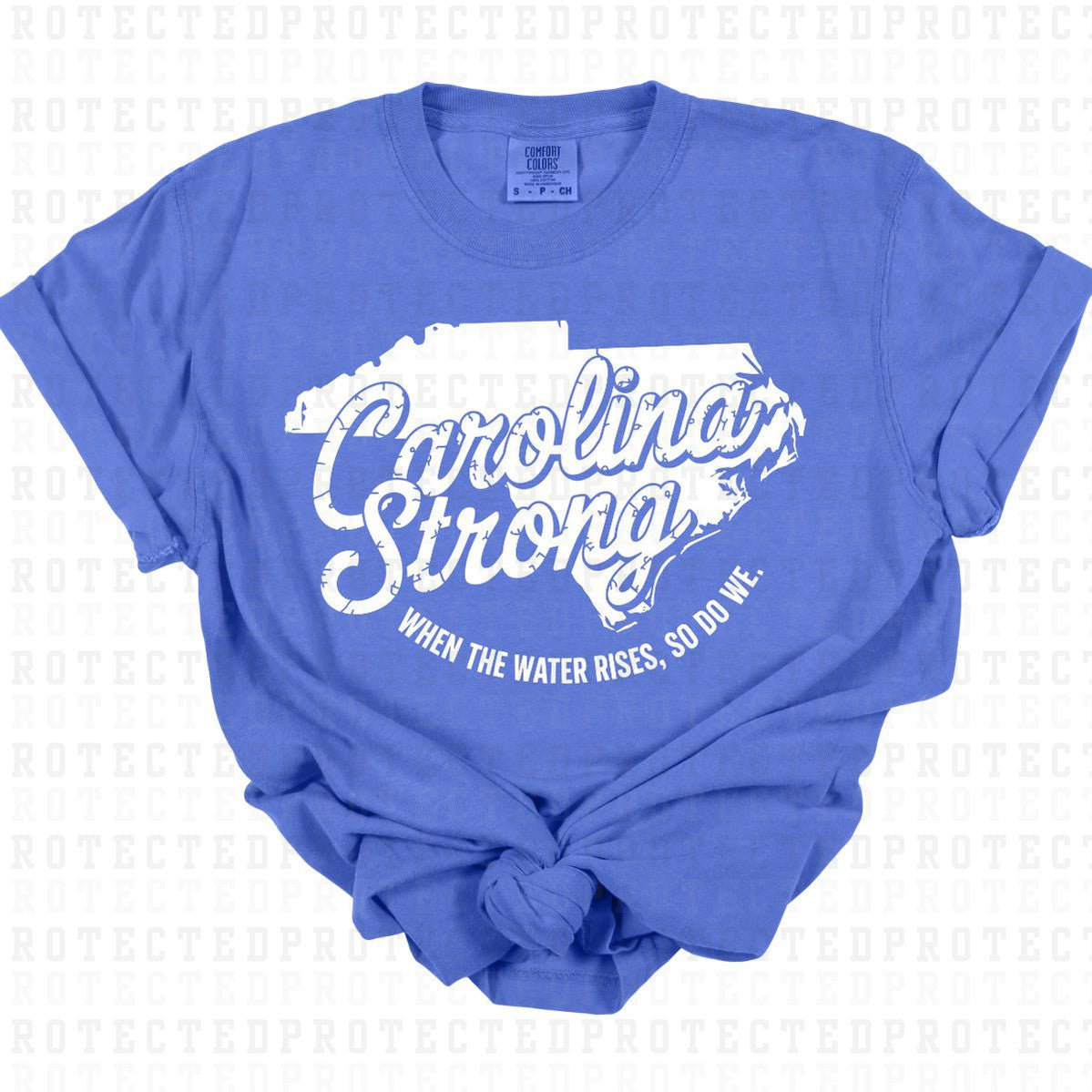 CAROLINA STRONG *SINGLE COLOR* - DTF TRANSFER