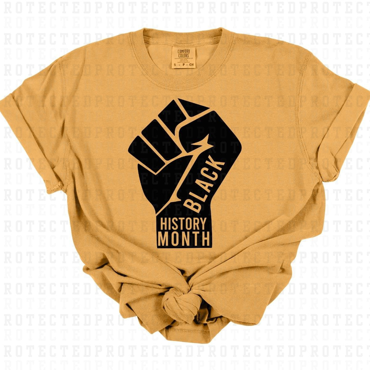 BLACK HISTORY MONTH *SINGLE COLOR* - DTF TRANSFER