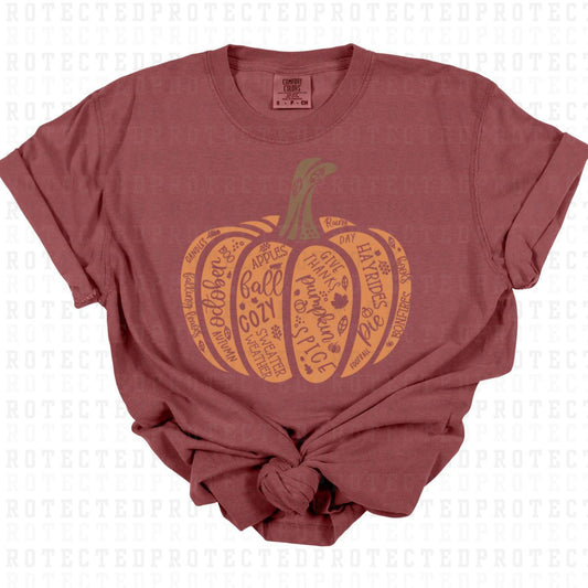 FALL PUMPKIN - DTF TRANSFER