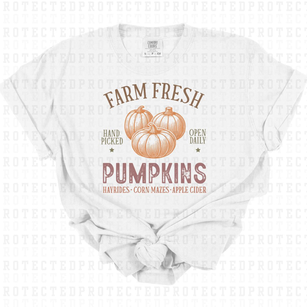 FARM FRESH PUMPKINS - DTF TRANSFER