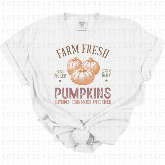 FARM FRESH PUMPKINS - DTF TRANSFER