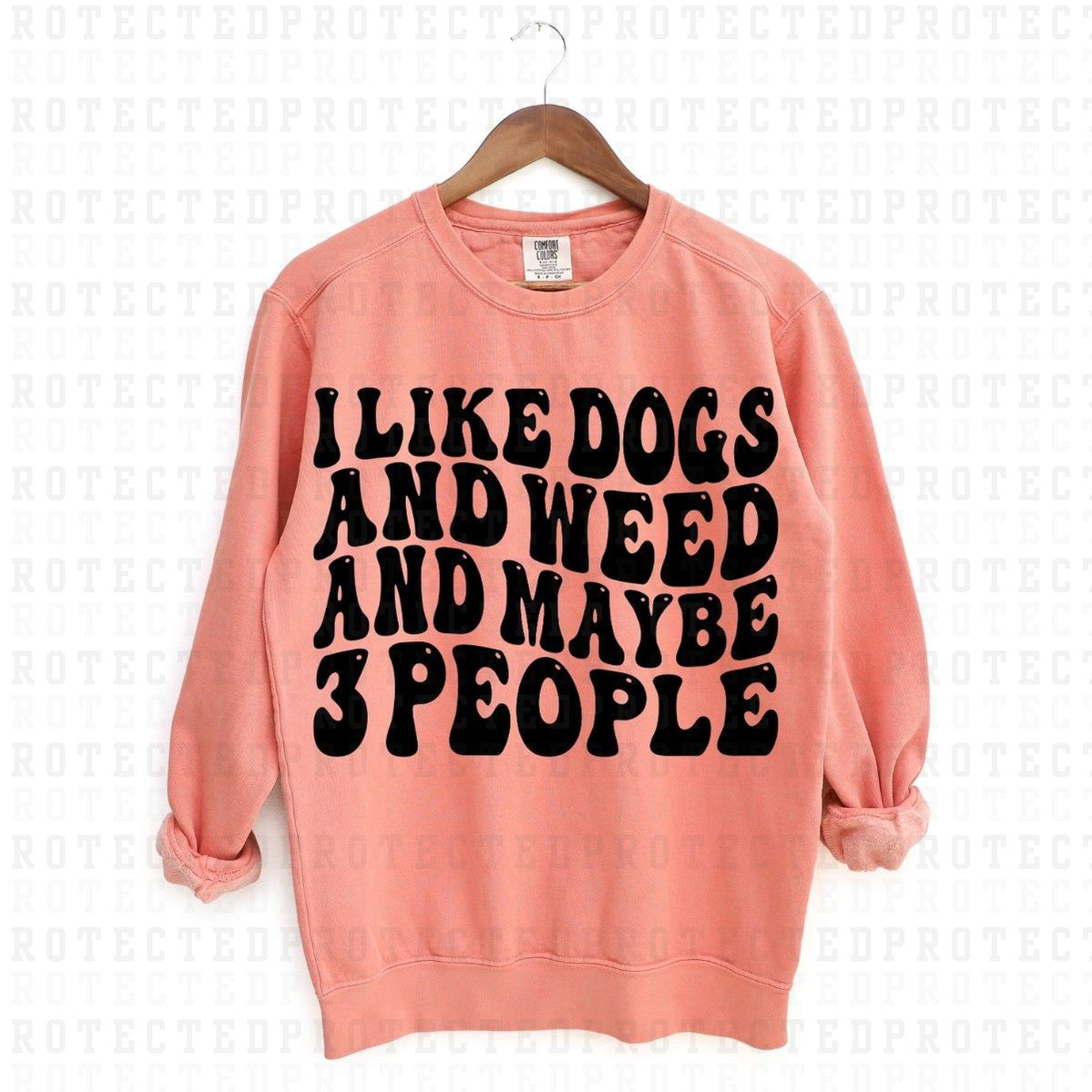 I LIKE DOGS AND WEED AND MAYBE 3 PEOPLE *SINGLE COLOR* - DTF TRANSFER