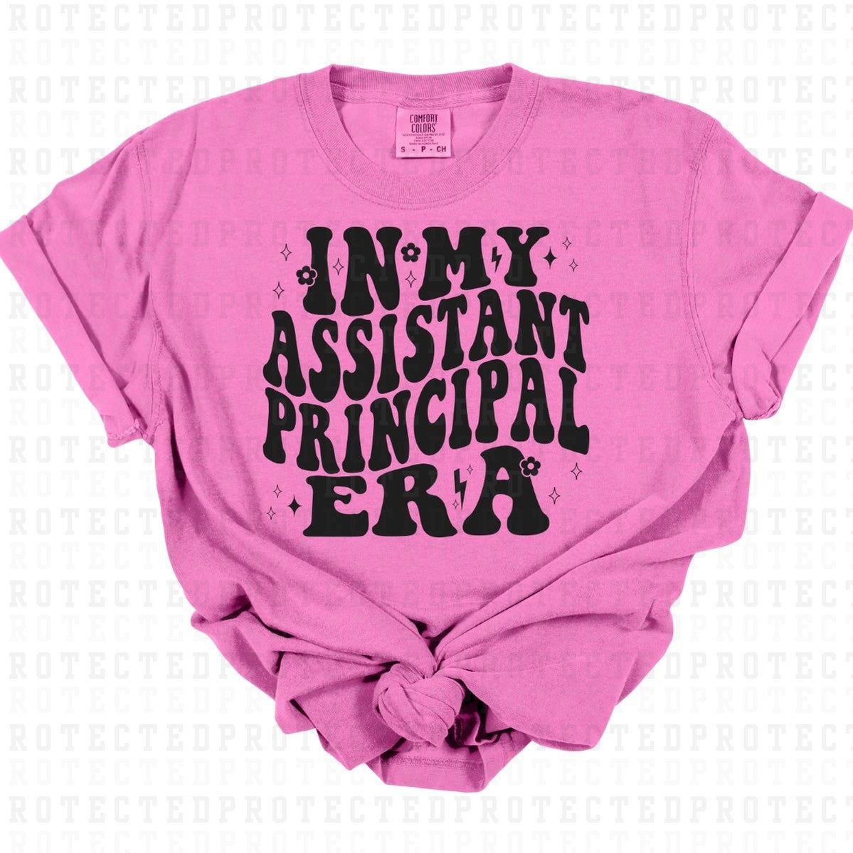 ASSISTANT PRINCIPAL ERA *SINGLE COLOR* - DTF TRANSFER