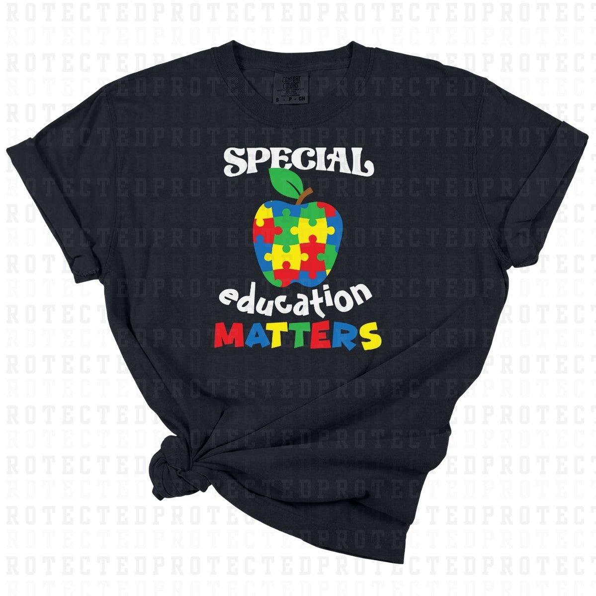 SPECIAL EDUCATION MATTERS - DTF TRANSFER