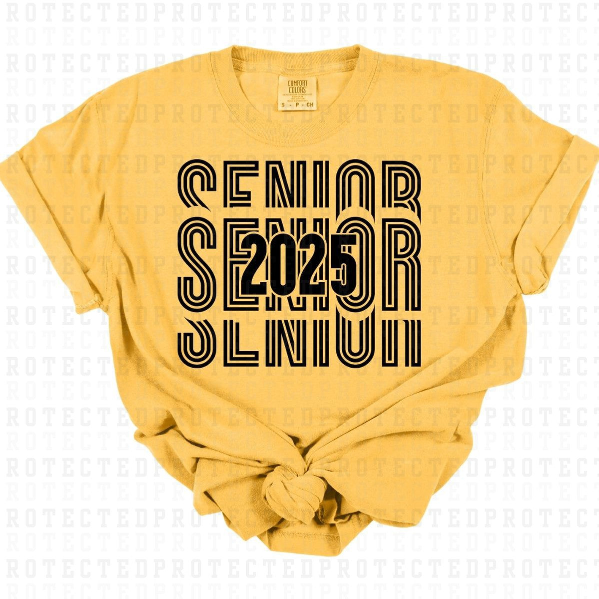 SENIOR 2025 *SINGLE COLOR* - DTF TRANSFER