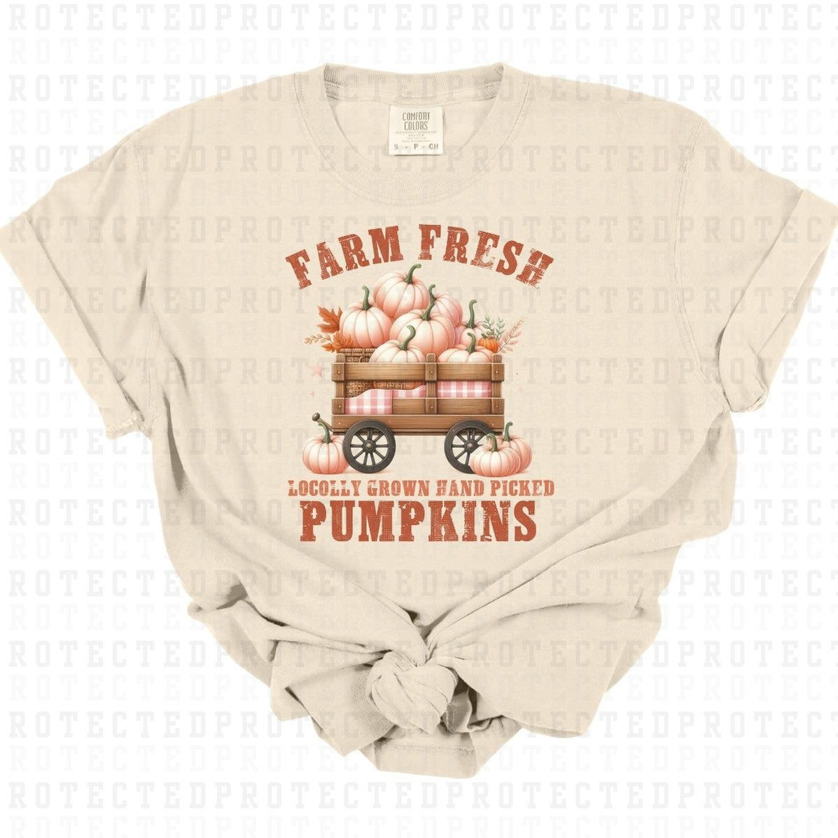 FARM FRESH PUMPKINS - DTF TRANSFER