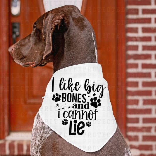 I LIKE BIG BONES *SINGLE COLOR* - DTF TRANSFER