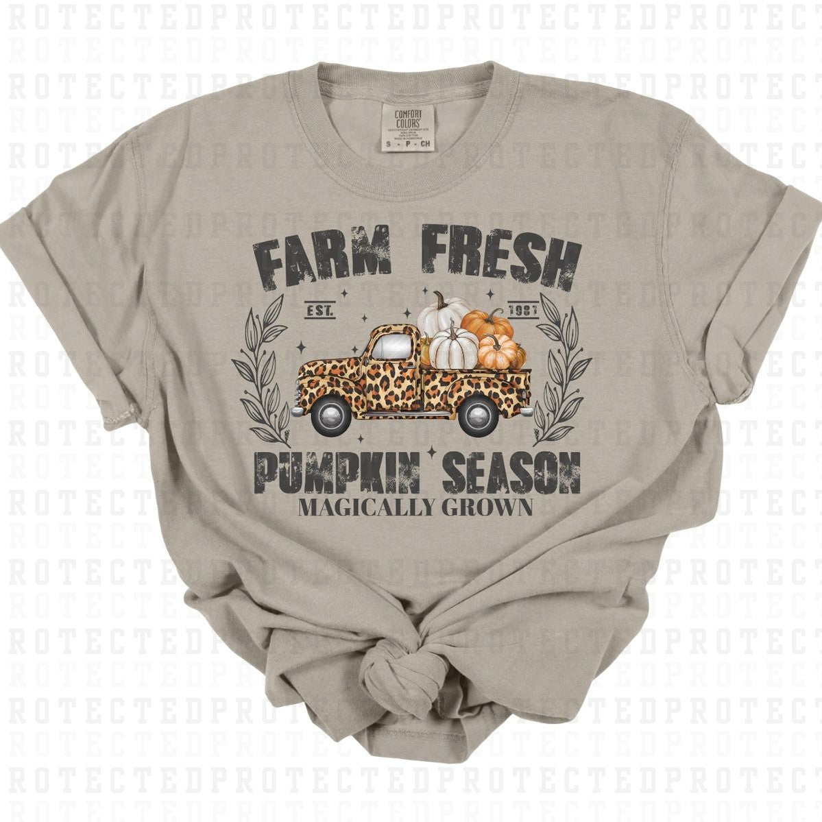 FARM FRESH PUMPKIN SEASON - DTF TRANSFER