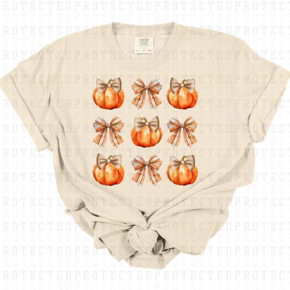 COQUETTE FALL PUMPKIN & BOWS - DTF TRANSFER