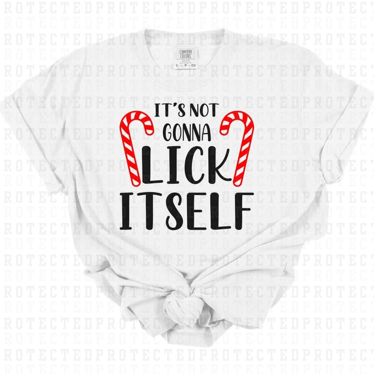 ITS NOT GONNA LICK ITSELF - DTF TRANSFER