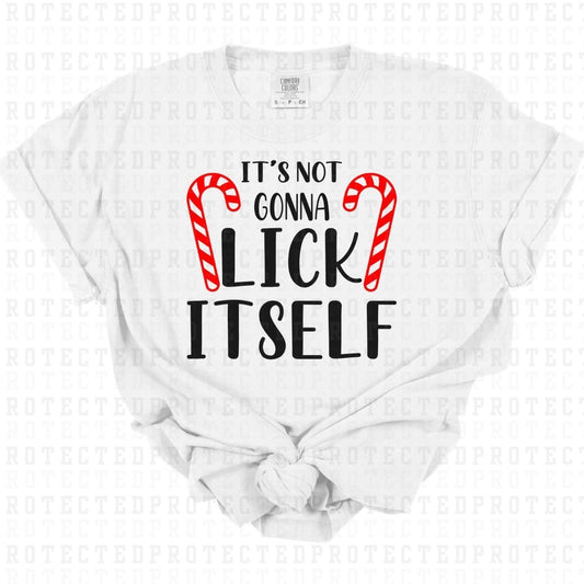 ITS NOT GONNA LICK ITSELF - DTF TRANSFER