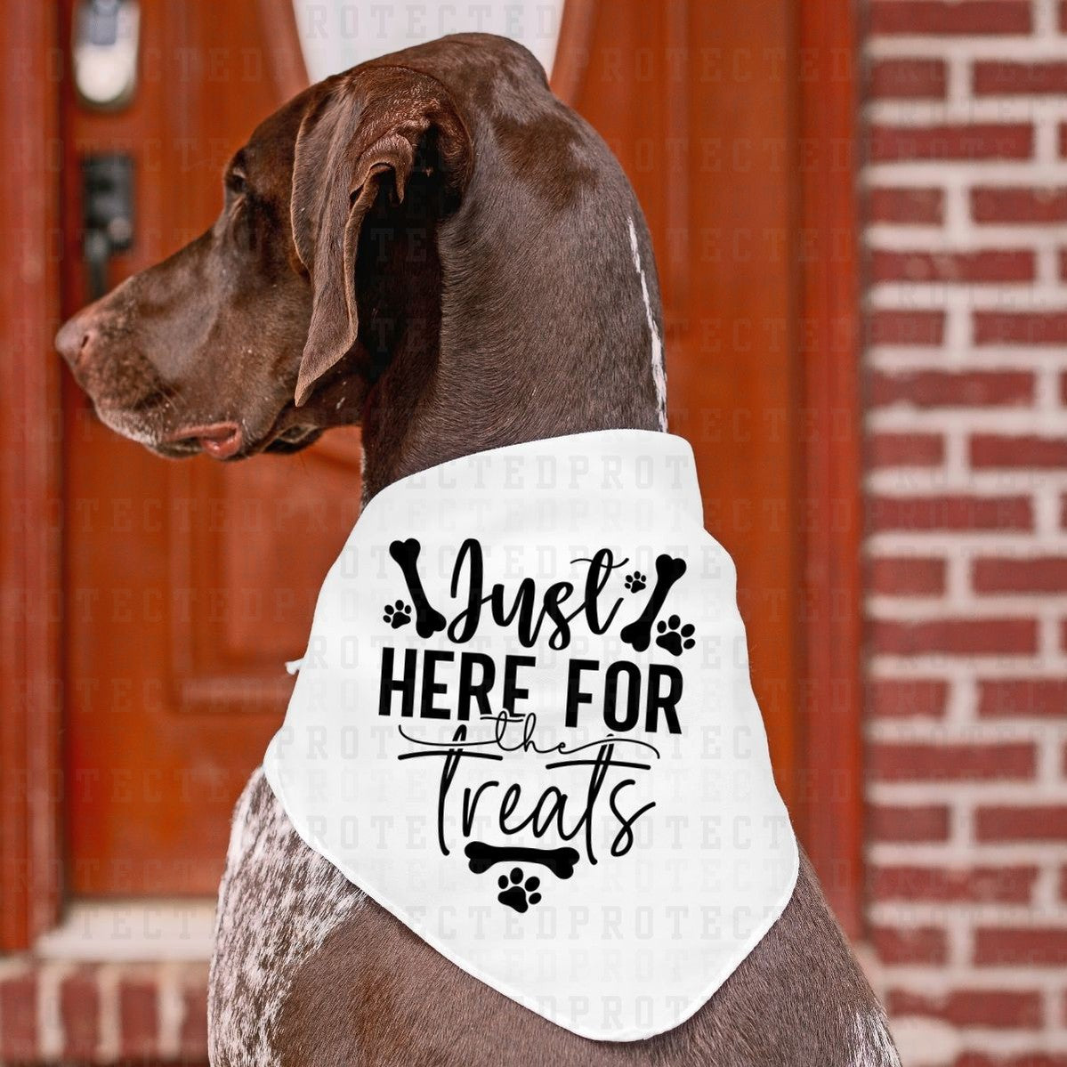 JUST HERE FOR THE TREAT *SINGLE COLOR* - DTF TRANSFER