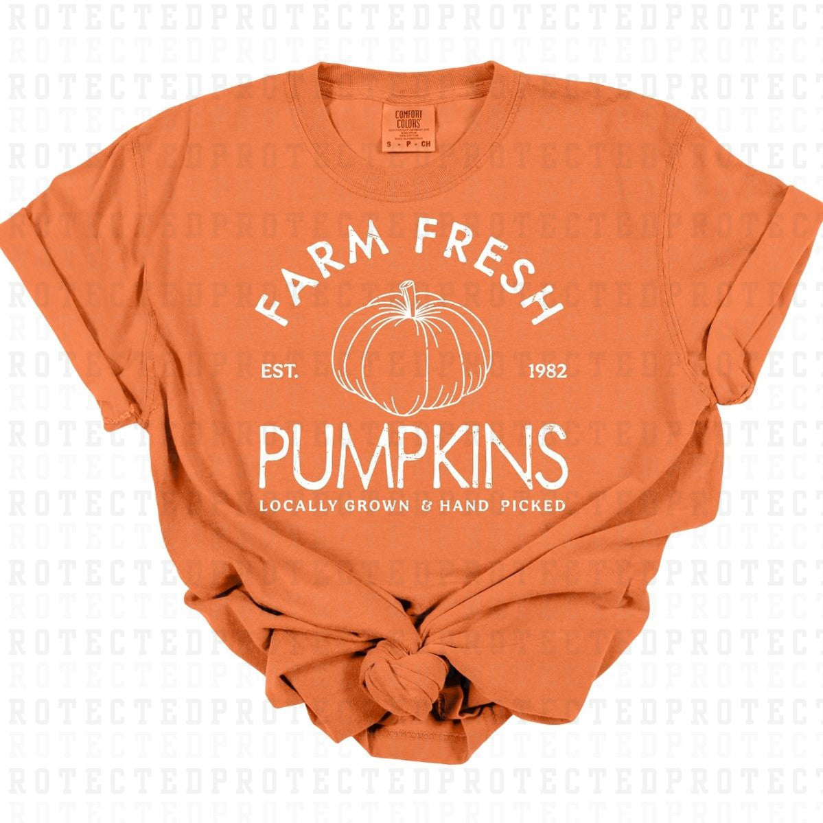 FARM FRESH PUMPKINS *SINGLE COLOR* - DTF TRANSFER