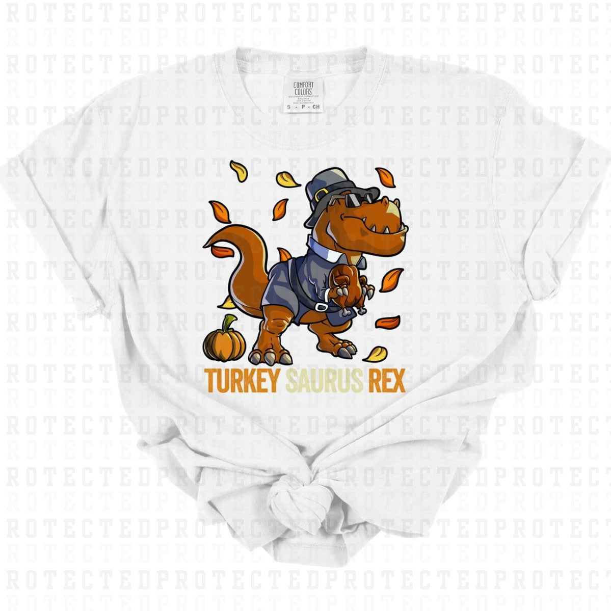 TURKEY SAURUS REX - DTF TRANSFER