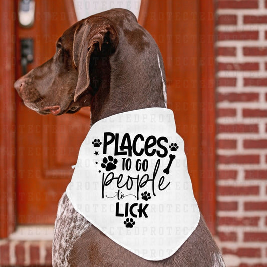 PLACES TO GO PEOPLE TO LICK *SINGLE COLOR* - DTF TRANSFER