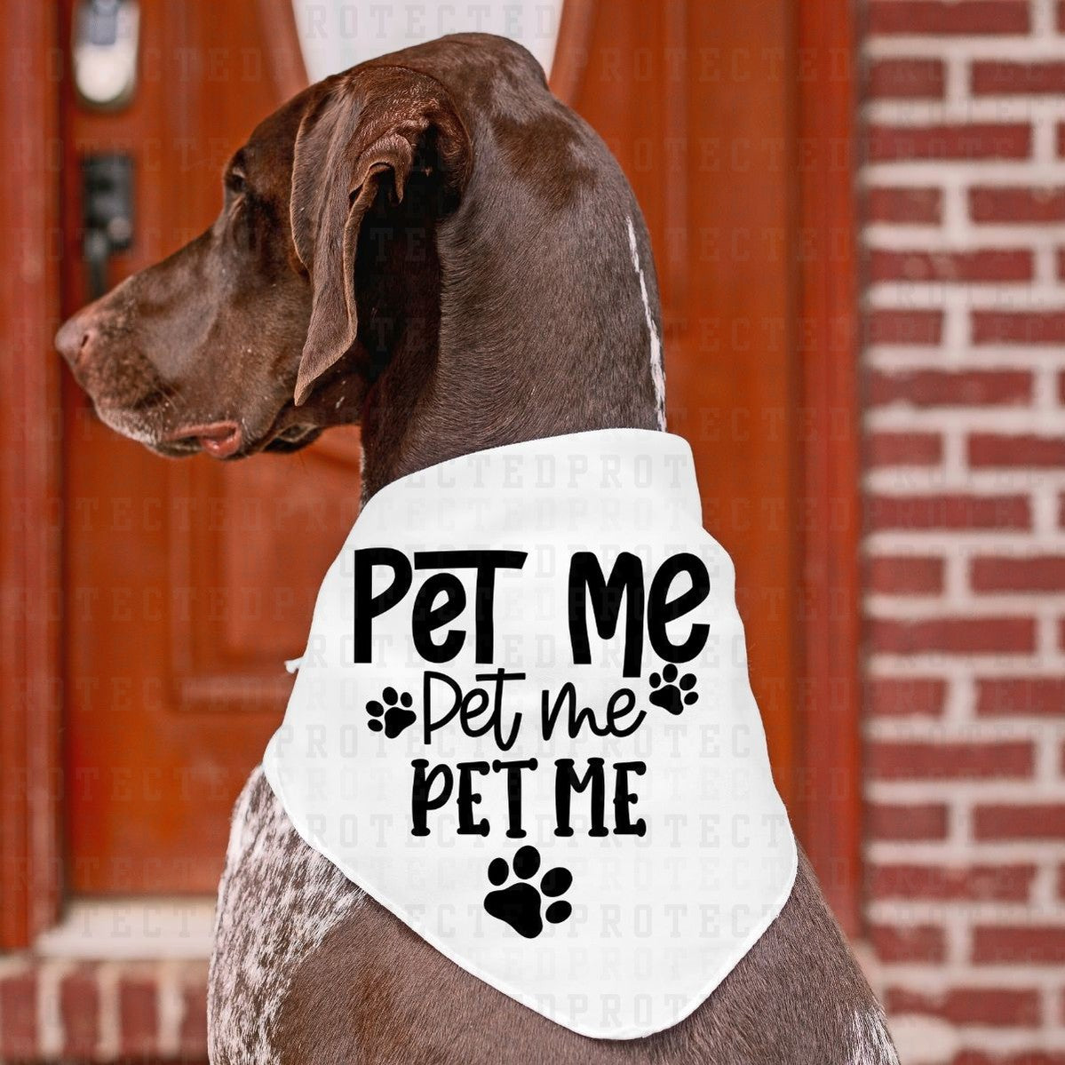 PET ME *SINGLE COLOR* - DTF TRANSFER