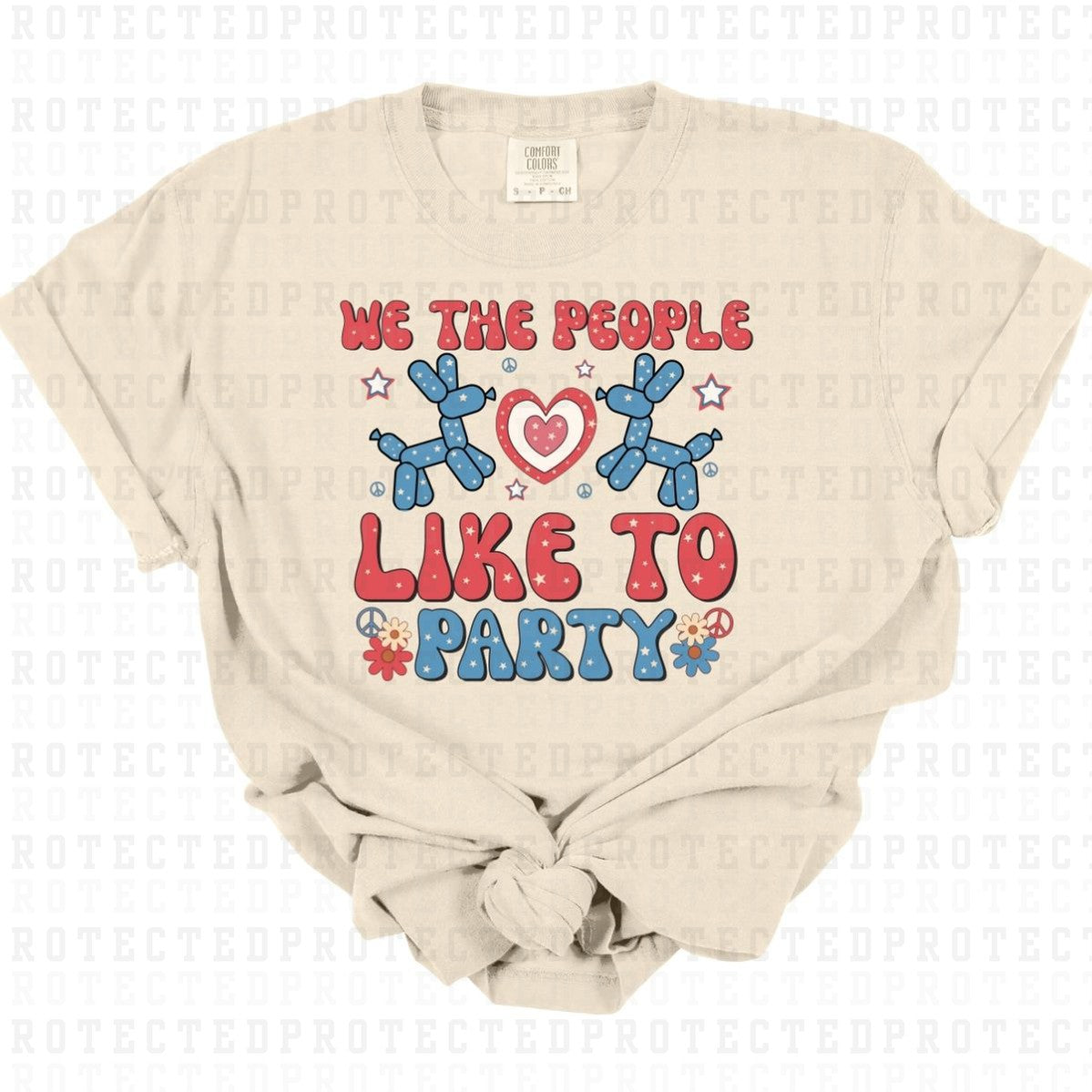 WE THE PEOPLE LIKE TO PARTY - DTF TRANSFER