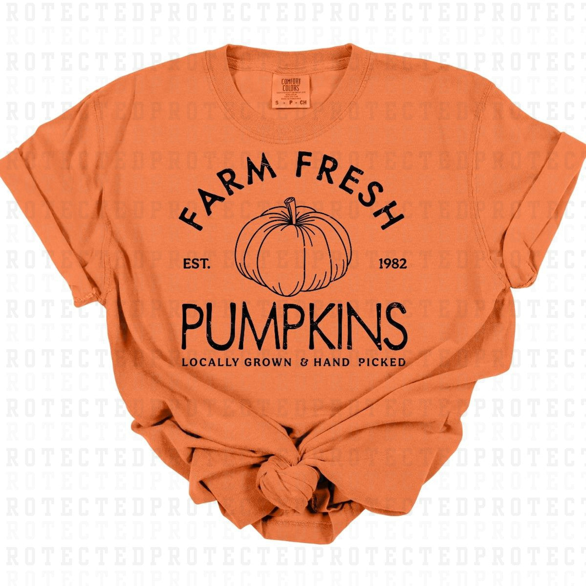 FARM FRESH PUMPKINS *SINGLE COLOR* - DTF TRANSFER