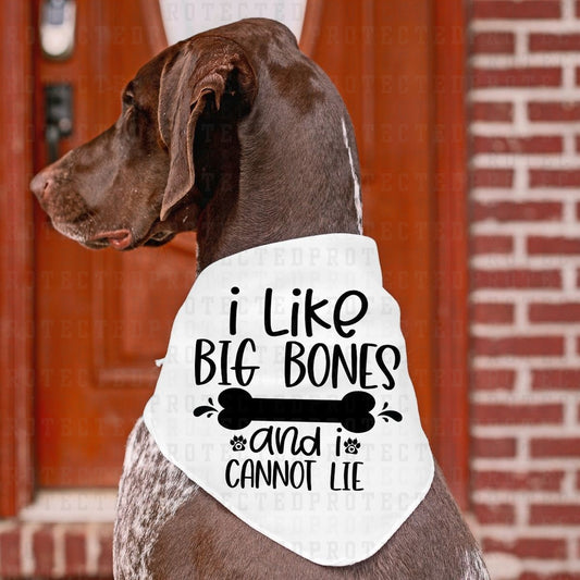 I LIKE BIG BONES *SINGLE COLOR* - DTF TRANSFER