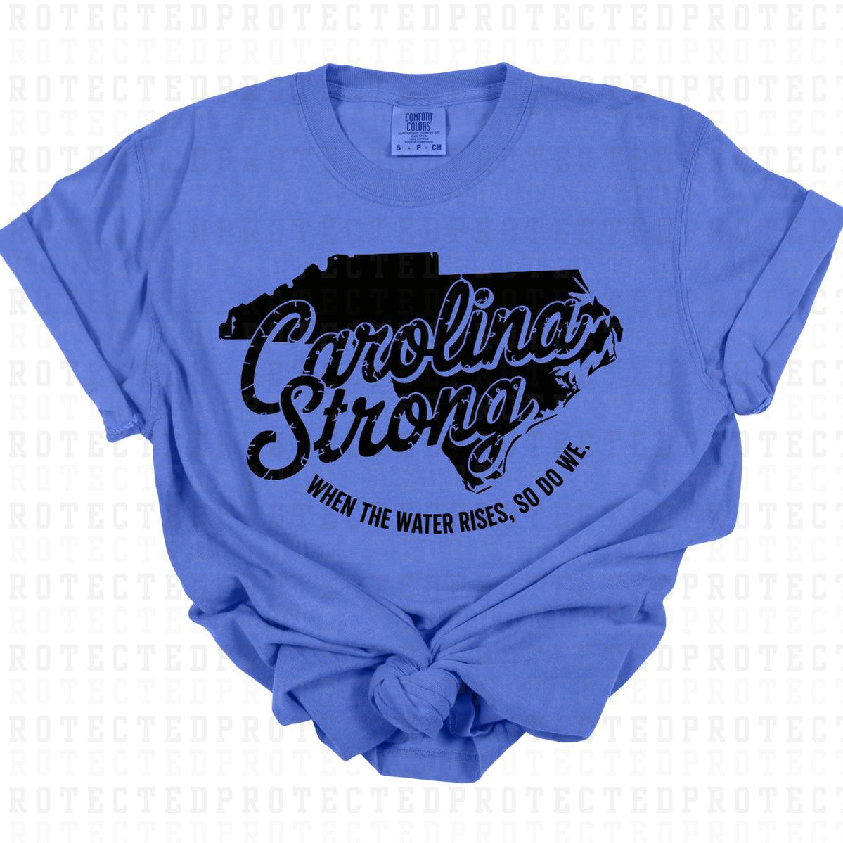 CAROLINA STRONG *SINGLE COLOR* - DTF TRANSFER