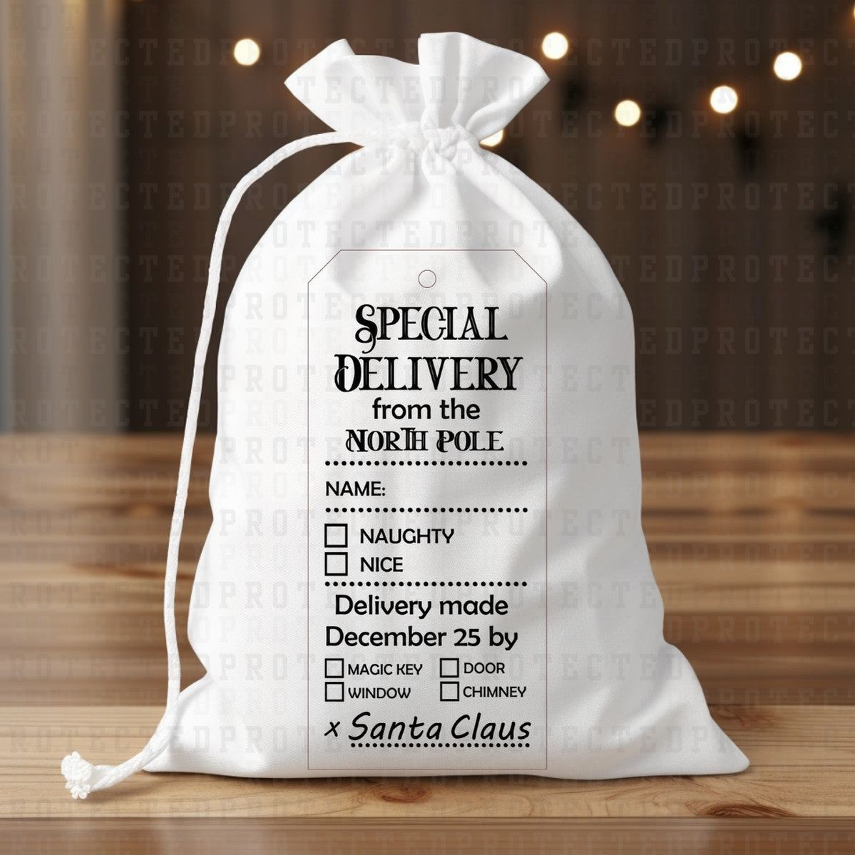 SPECIAL DELIVERY FROM THE NORTH POLE *SINGLE COLOR* - DTF TRANSFER